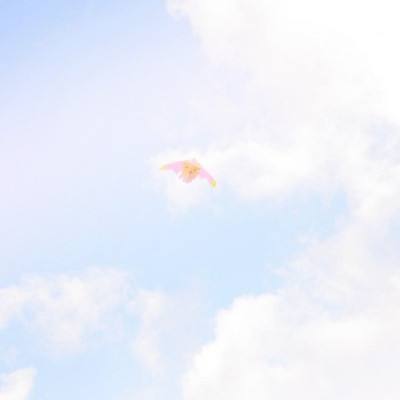 口袋仙缘手游公益服满v下载